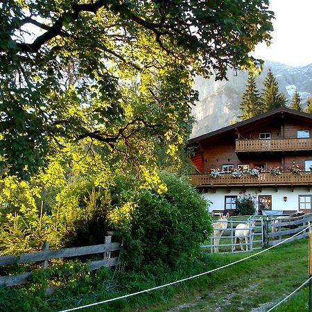 Appartement Haus Berghild à Ramsau am Dachstein Extérieur photo