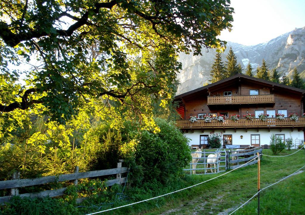 Appartement Haus Berghild à Ramsau am Dachstein Extérieur photo