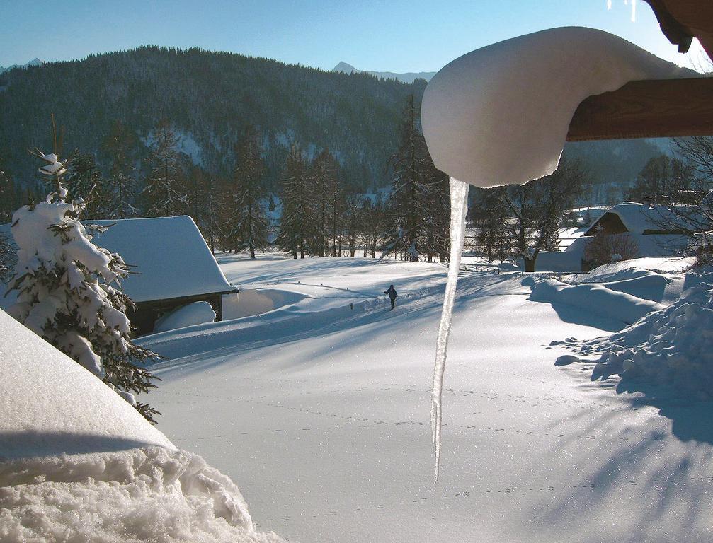 Appartement Haus Berghild à Ramsau am Dachstein Chambre photo