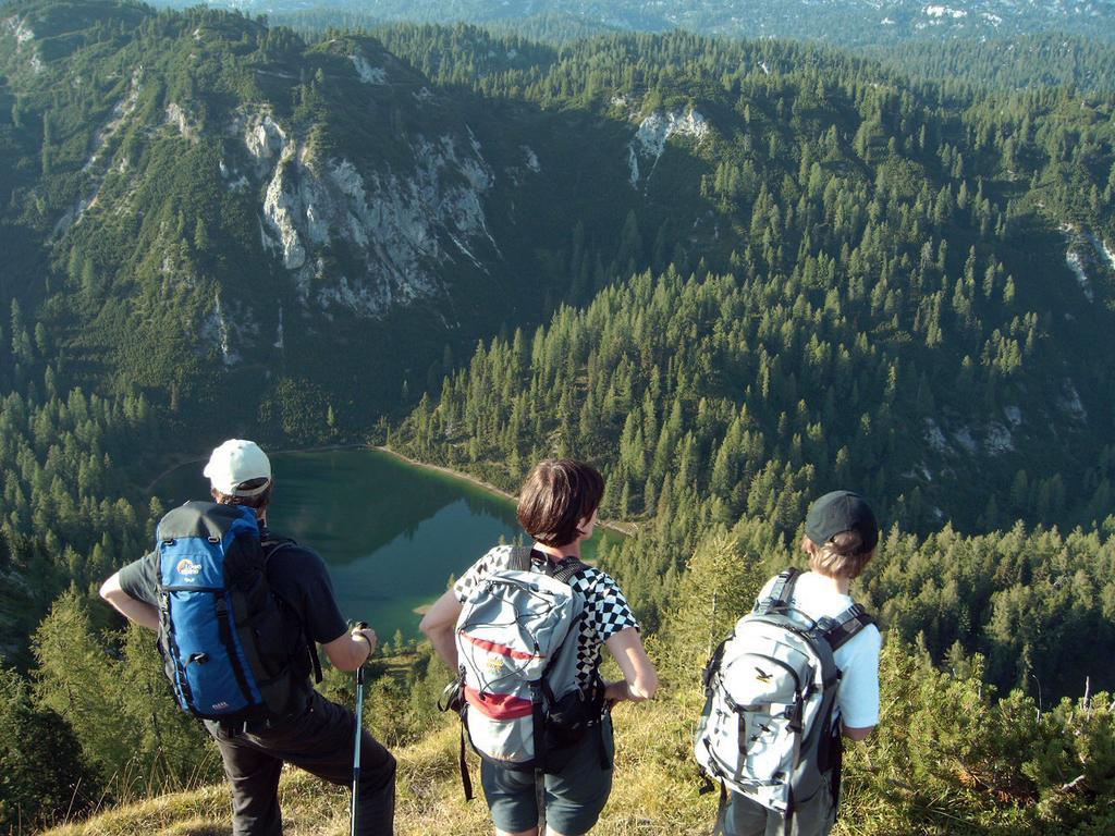 Appartement Haus Berghild à Ramsau am Dachstein Extérieur photo