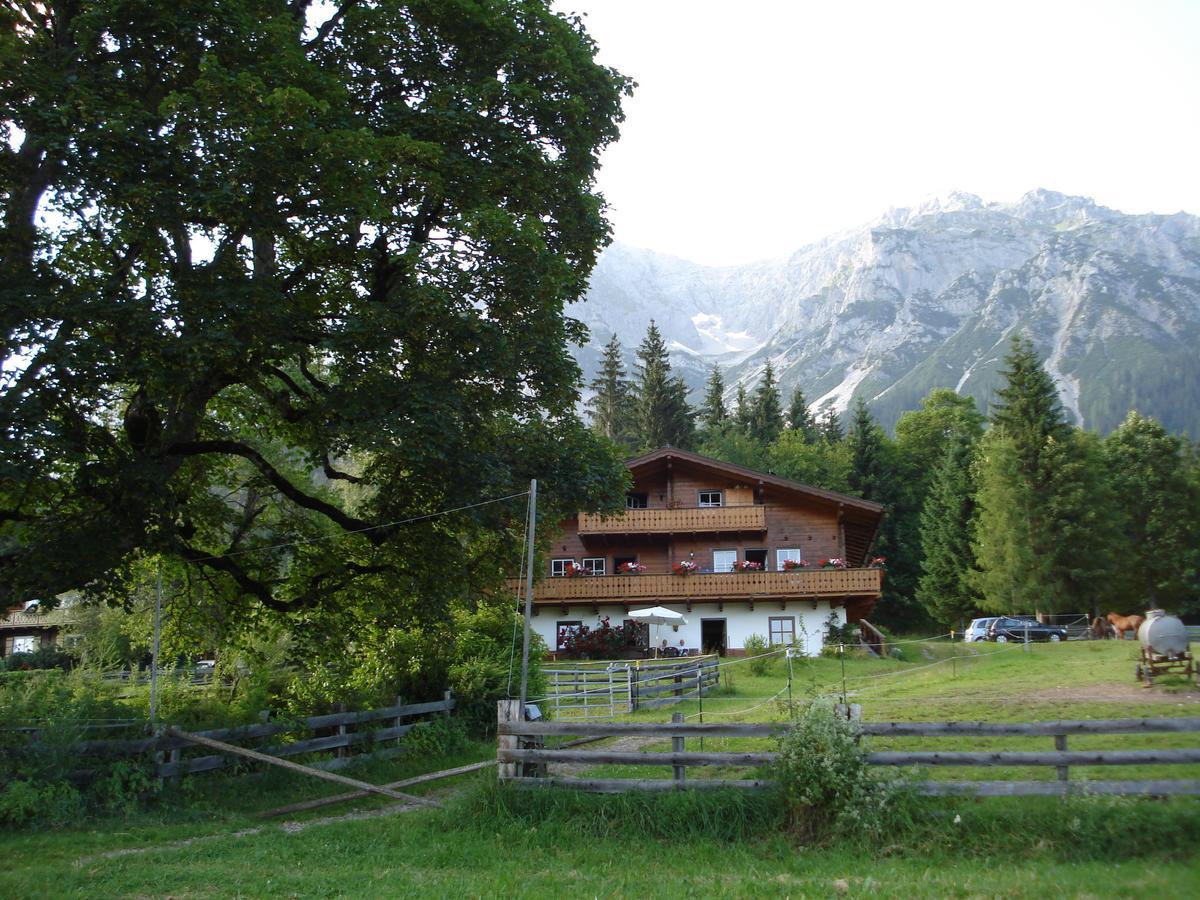 Appartement Haus Berghild à Ramsau am Dachstein Chambre photo